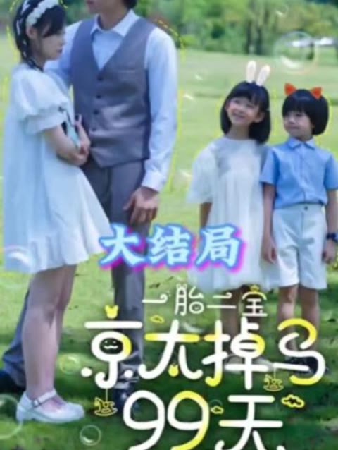 一胎二宝京太掉马99天