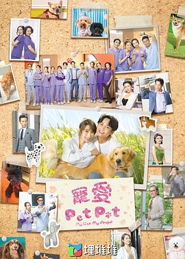 宠爱PetPet粤语版