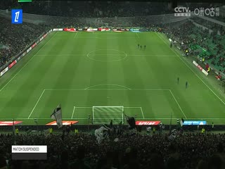 法甲联赛 圣埃蒂安VS里昂 20250421