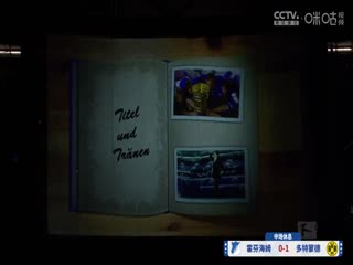 德甲联赛 霍芬海姆VS多特蒙德 20250426