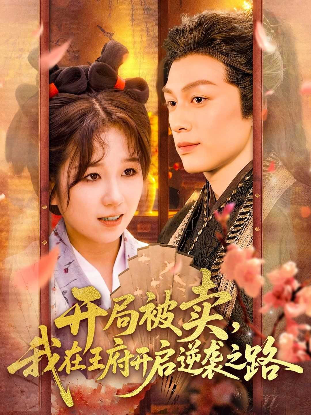 开局被卖我在王府开启逆袭之路