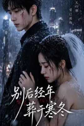 别后经年，葬于寒冬